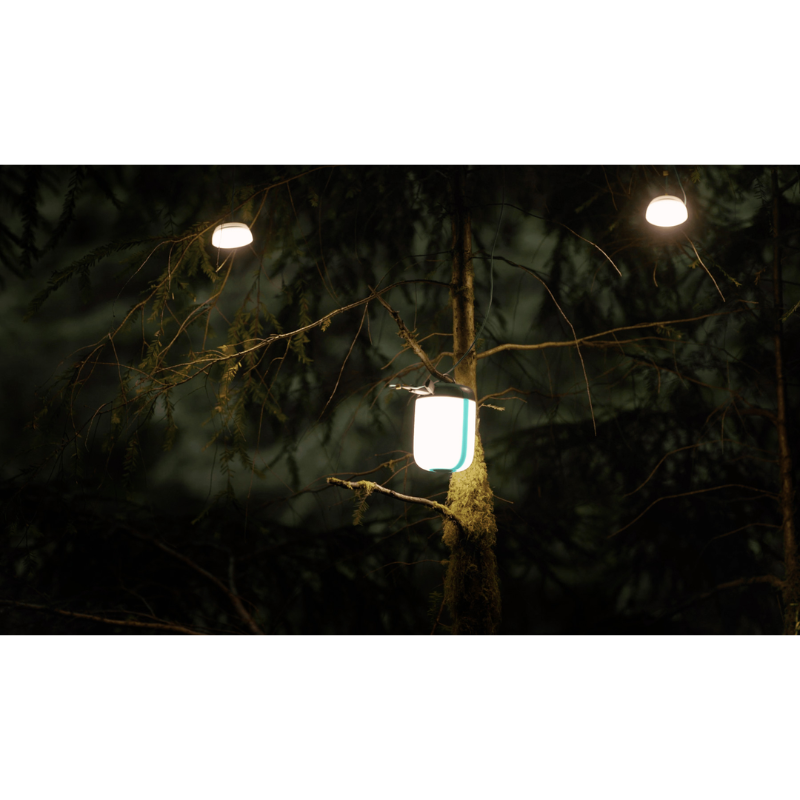 Alpenglow 500 Lantern hanging on a tree branch.