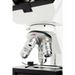Celestron Labs CB2000CF Compound Microscope objective lens.
