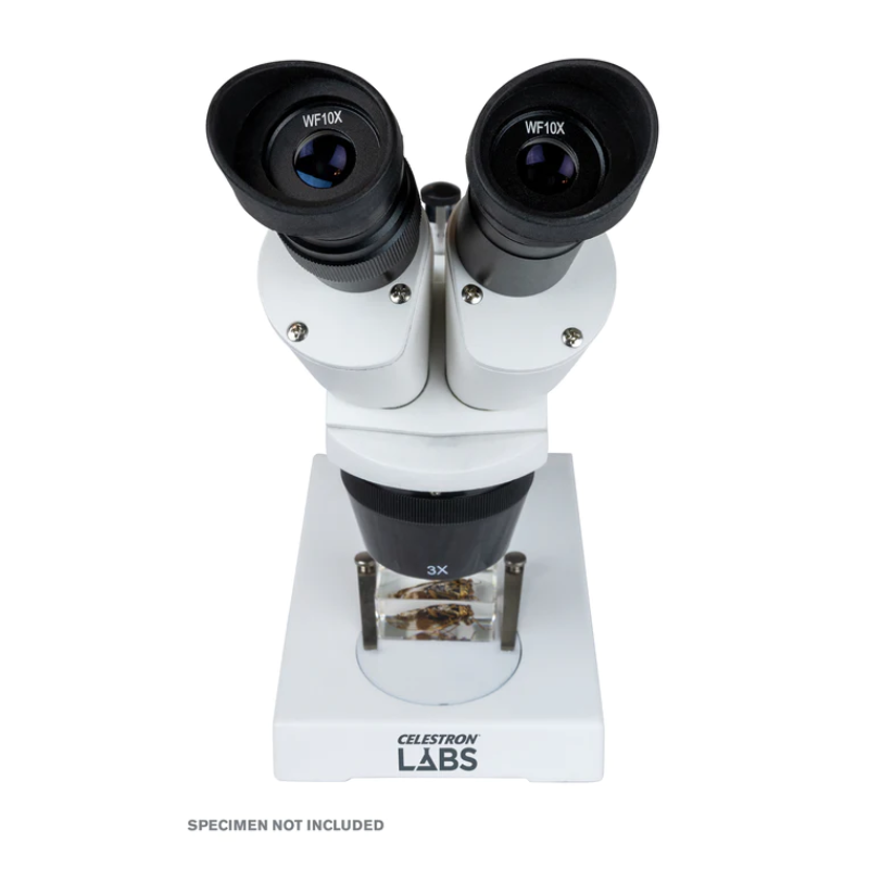 Celestron Labs S1030N Stereo Microscope ocular lens with bug specimen.
