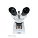 Celestron Labs S1030N Stereo Microscope ocular lens.