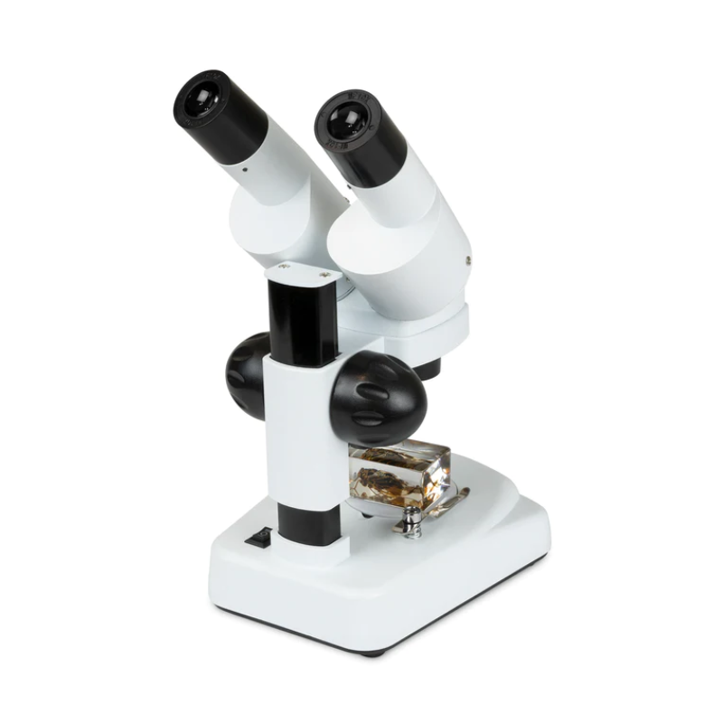 Celestron Labs S20 Angled Stereo MicroscopeCelestron Labs S20 Angled Stereo Microscope slightly facing right backside with bug specimen.