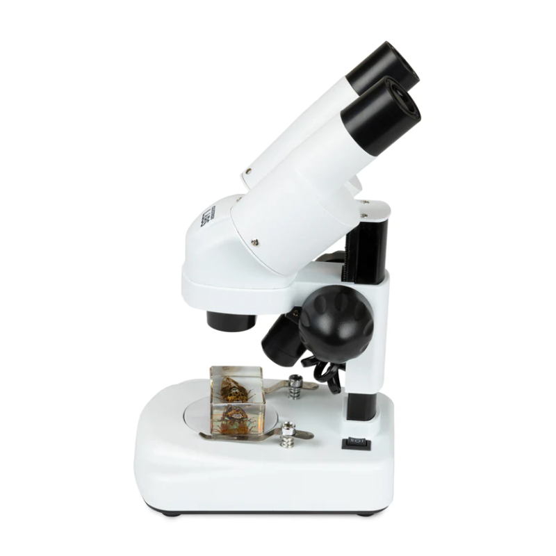 Celestron Labs S20 Angled Stereo Microscope facing left with bug specimen.