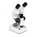 Celestron Labs S20 Angled Stereo Microscope slightly facing left backside with bug specimen.