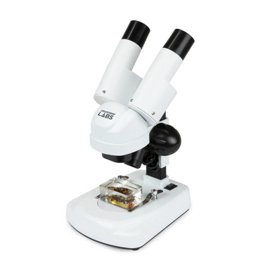 Celestron Labs S20 Angled Stereo Microscope slightly facing left with bug specimen.