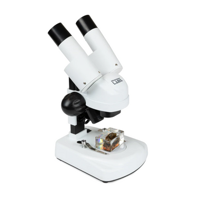 Celestron Labs S20 Angled Stereo Microscope slightly facing right with bug specimen.