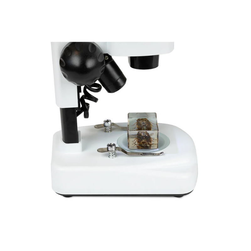 Celestron Labs S20 Angled Stereo Microscope with bug specimen.