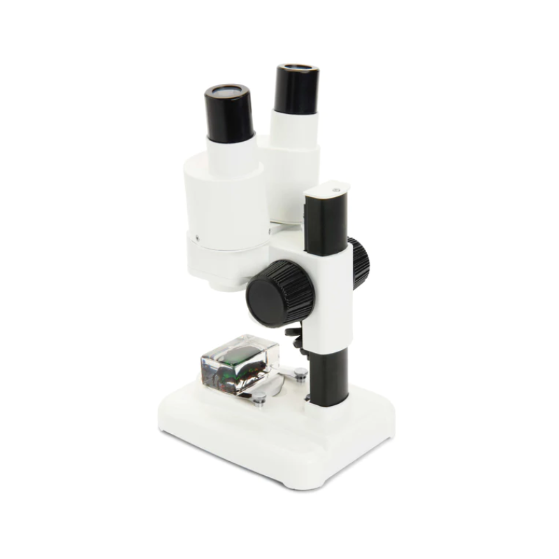 Celestron Labs S20 Stereo Microscope with bug being observed.