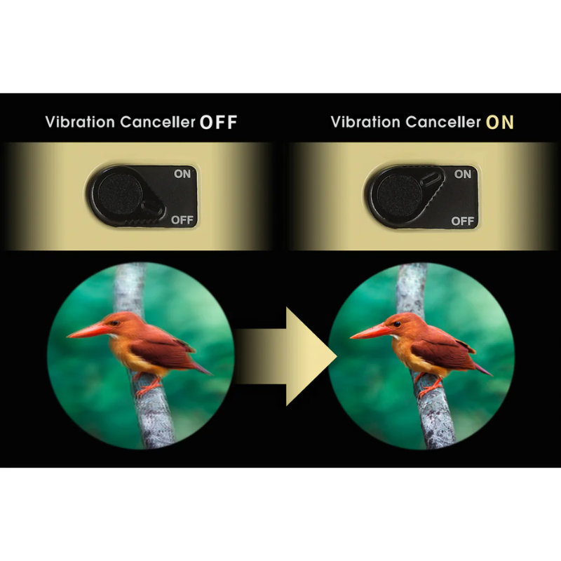 Image of a red bird through Vixen ATERA H12x30 Image Stabilized Binoculars.